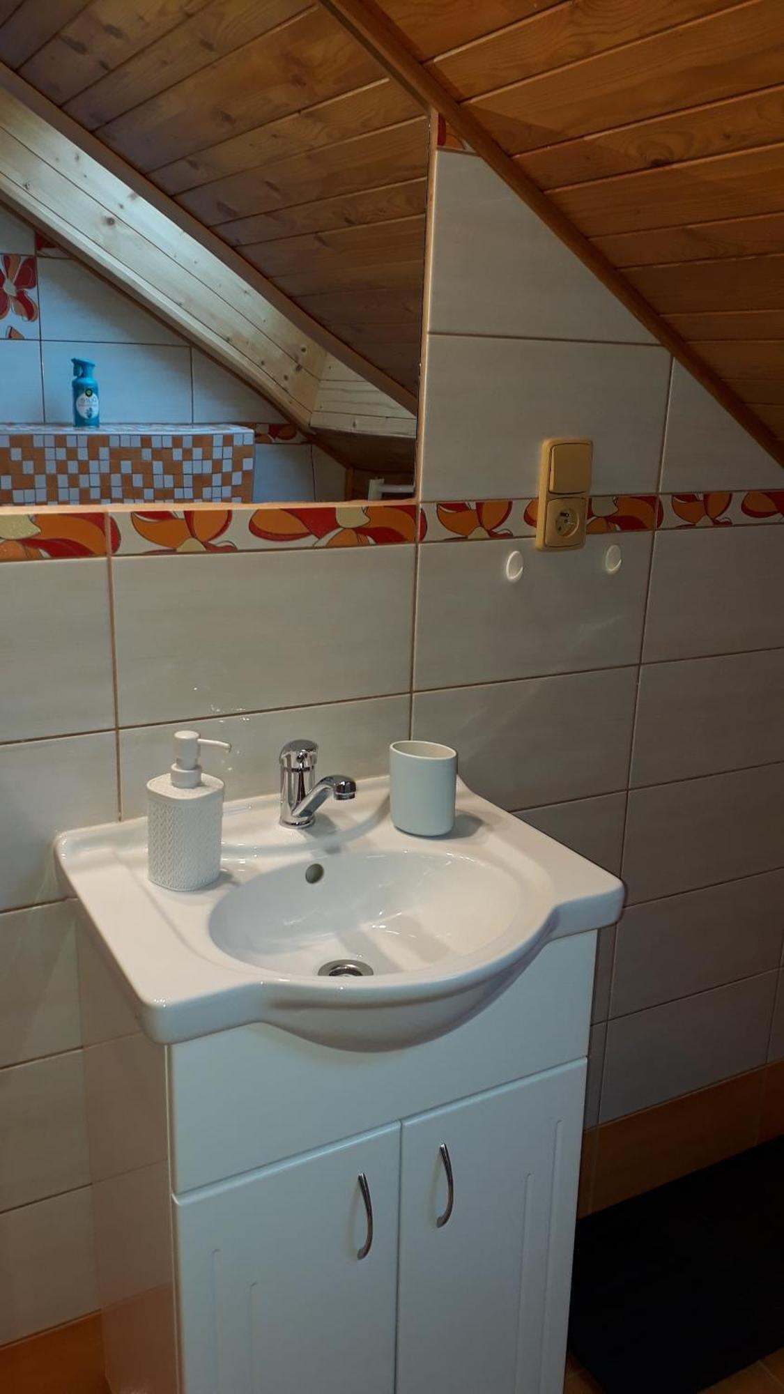 Penzion U Vichu Červená Voda エクステリア 写真