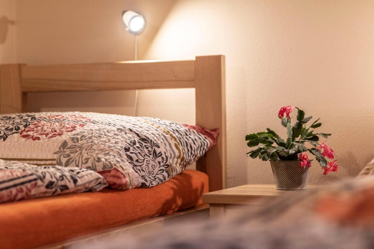 Penzion U Vichu Červená Voda エクステリア 写真