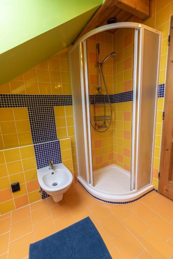Penzion U Vichu Červená Voda エクステリア 写真