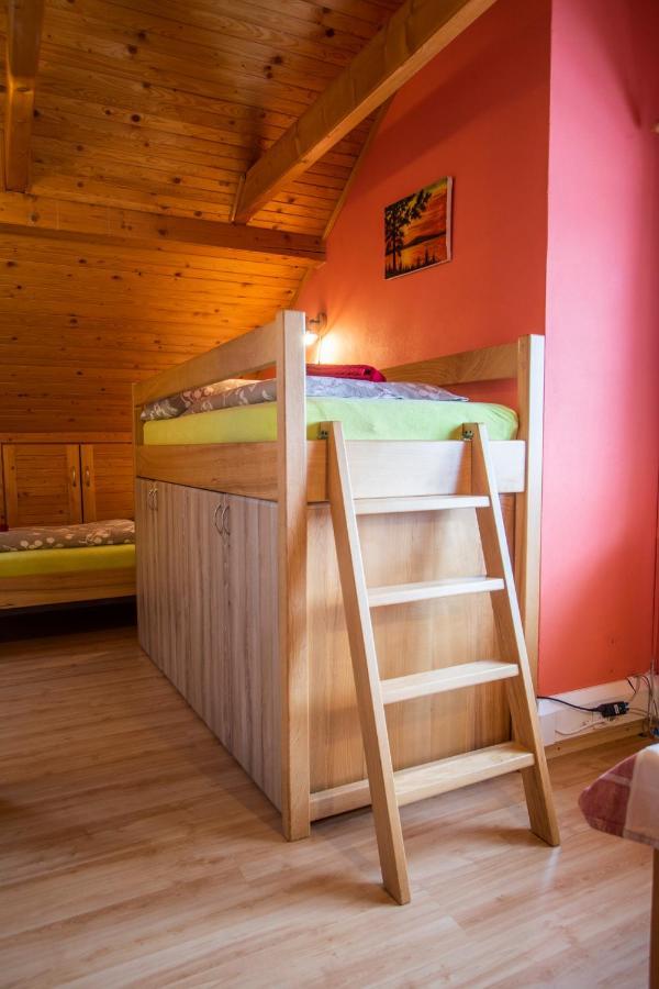 Penzion U Vichu Červená Voda エクステリア 写真